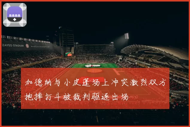 加德纳与小皮蓬场上冲突激烈双方抱摔打斗被裁判驱逐出场